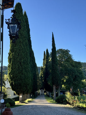 A WEEK ON THE ROAD ACROSS ITALY. 6/12 OCTOBER 2025. TUSCANY, RAVENNA, AOSTA. JOURNEY THROUGH ITALY'S PRODUCTION REGIONS.