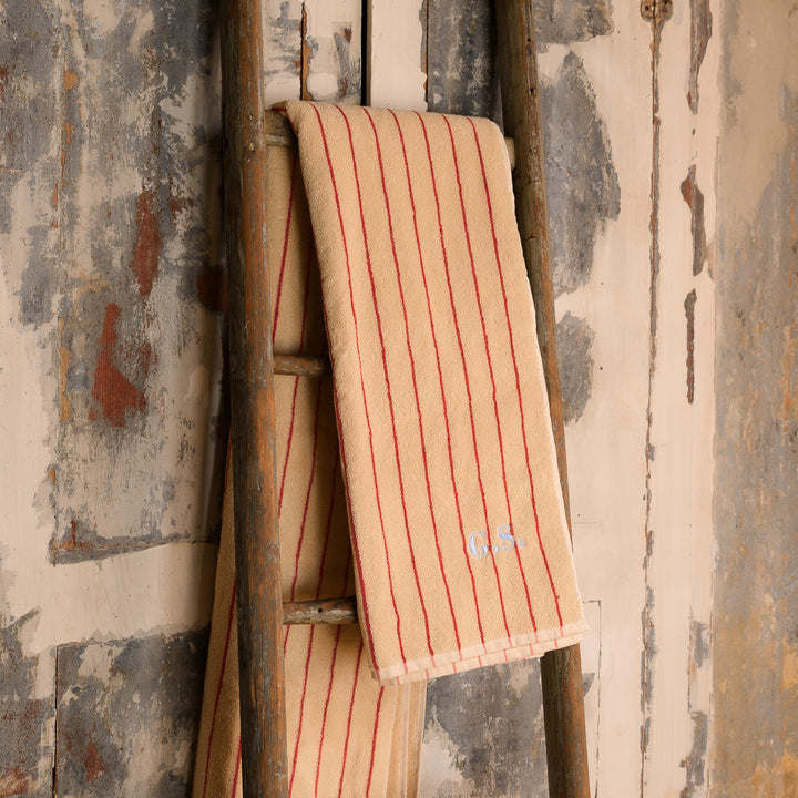 Telo doccia Linea classica