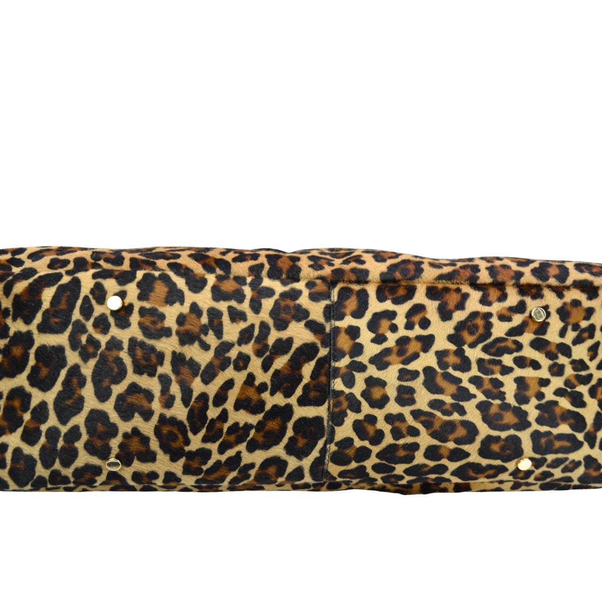 Moira - Pony Leopardo