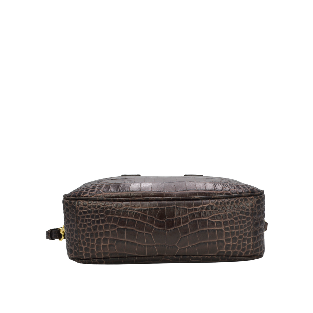 Michela - Cocco testa di Moro