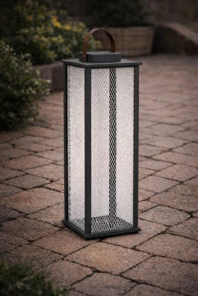 ALCIONE (New Design 2026)