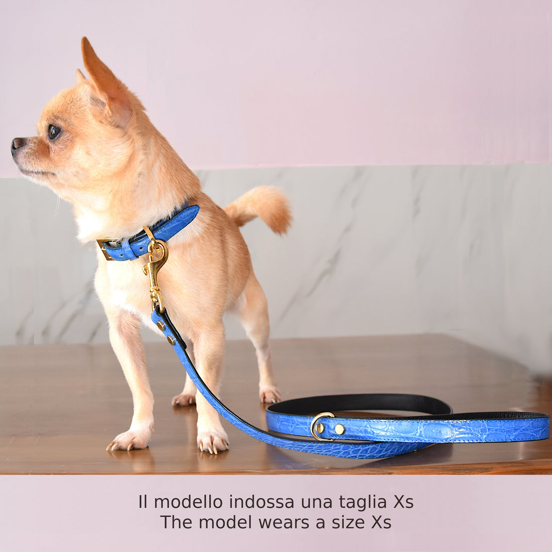 Collare per cani e gatti in vera pelle di coccodrillo Blu Cielo