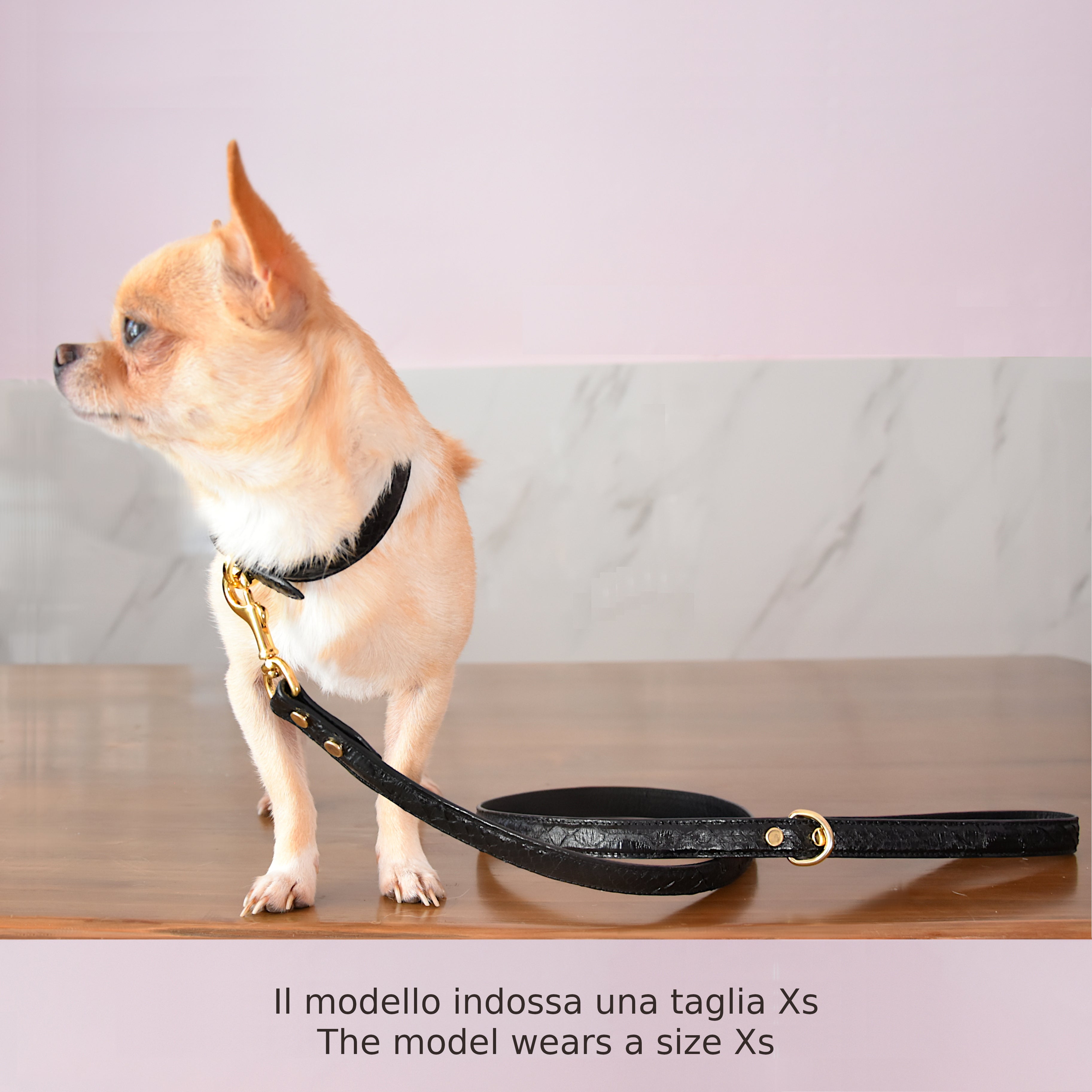 Collare per cani e gatti in vera pelle di pitone Personalizzabile