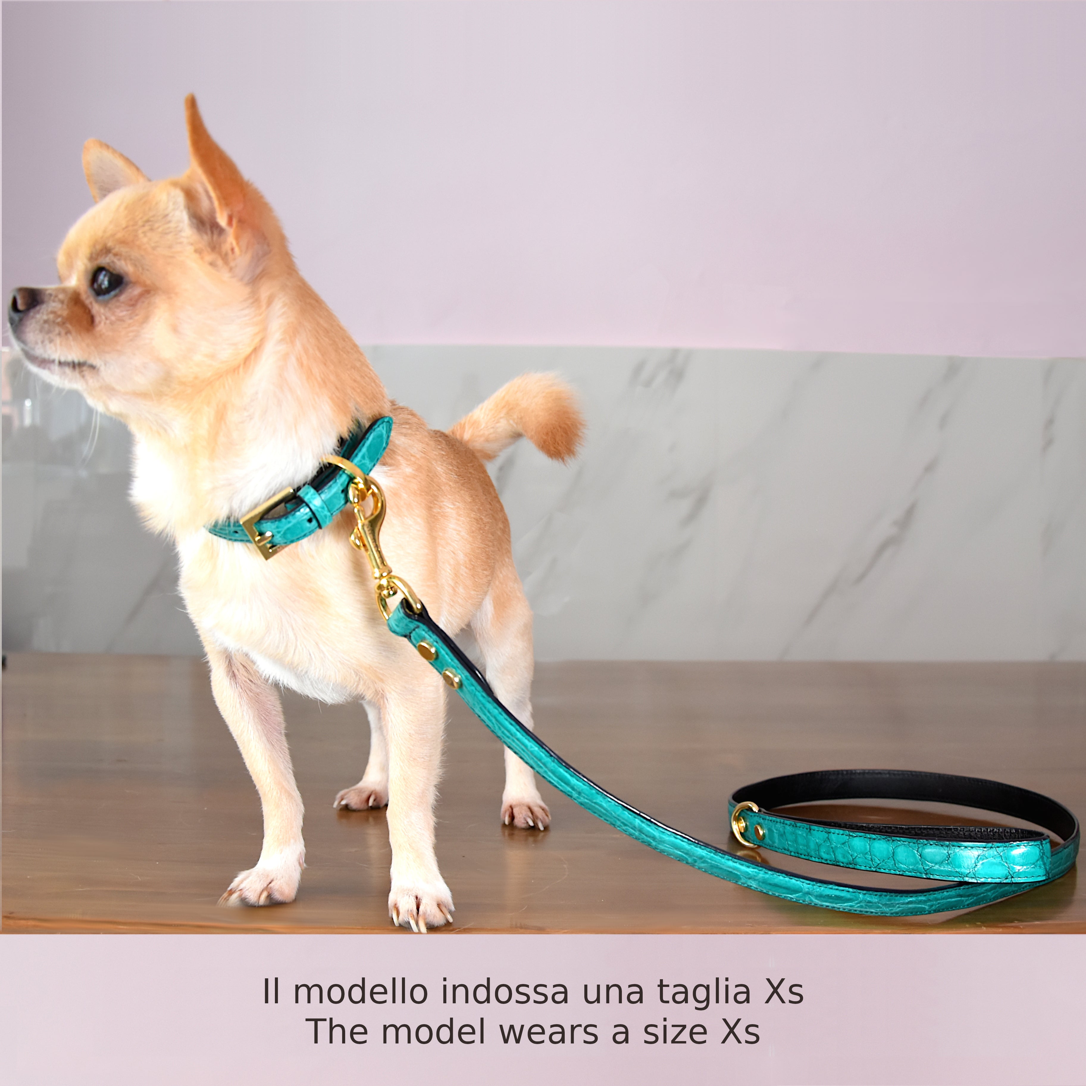 Collare per cani e gatti in vera pelle di coccodrillo