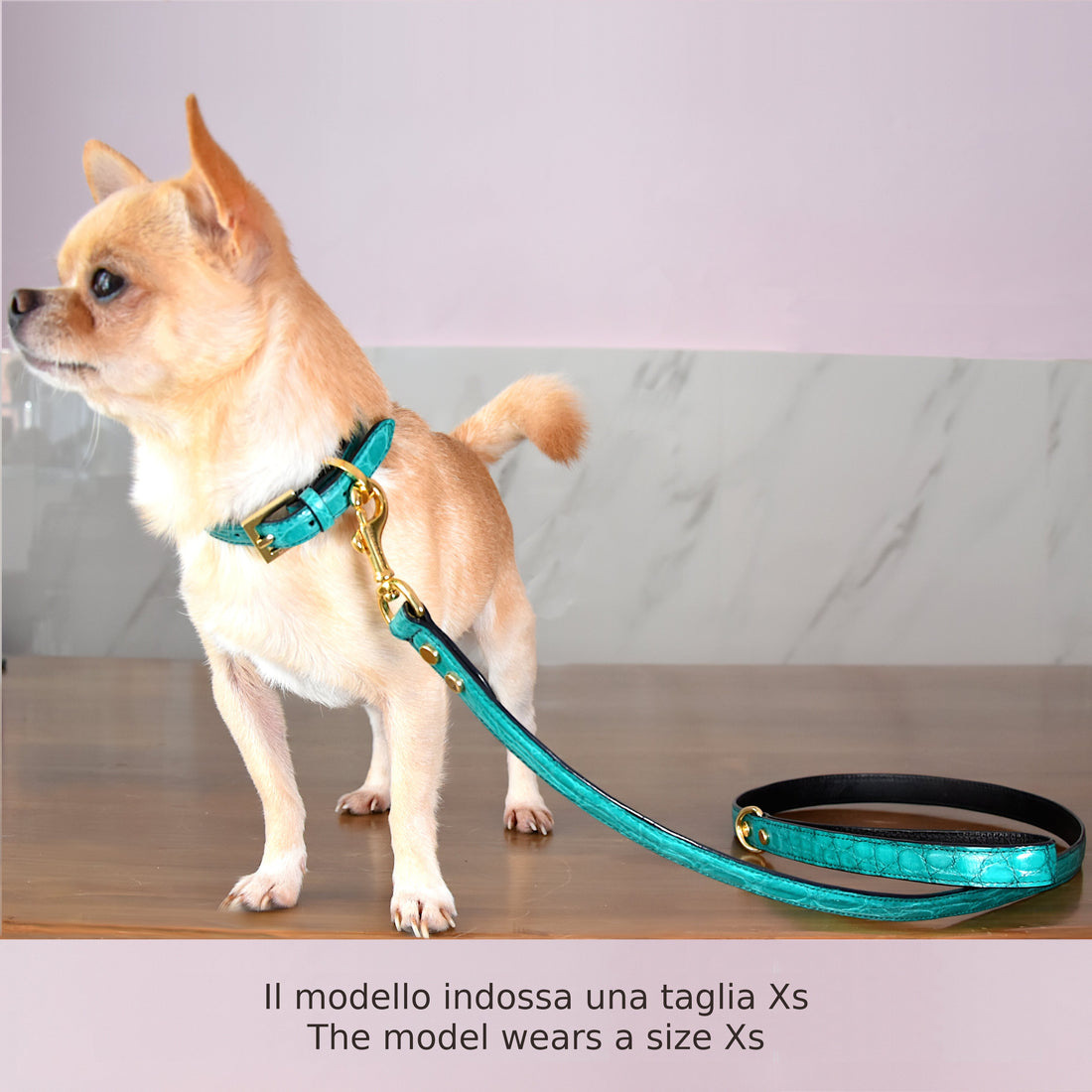 Collare per cani e gatti in vera pelle di coccodrillo