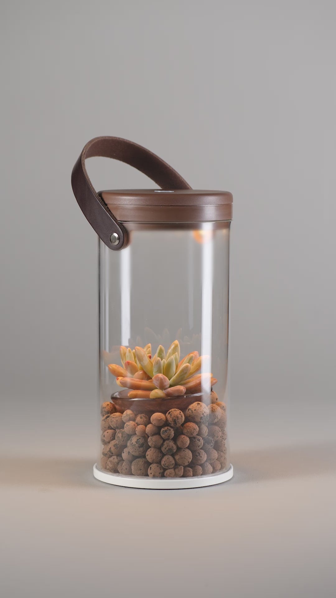 MYTHOS HESPERUS BROWN